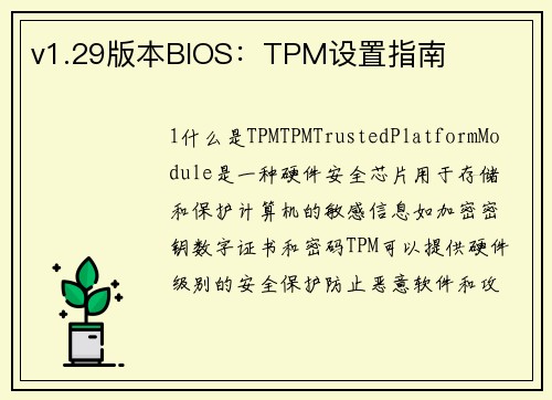 v1.29版本BIOS：TPM设置指南